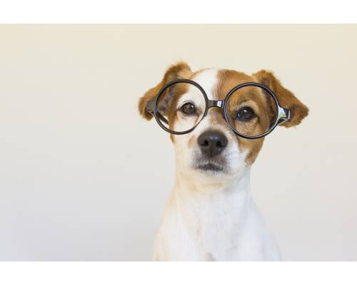 Unsere digitale Wissensbibliothek