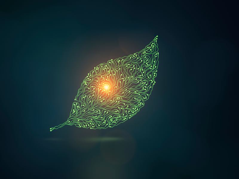 DIGITALES WORKFORCE MANAGEMENT ERLEBEN